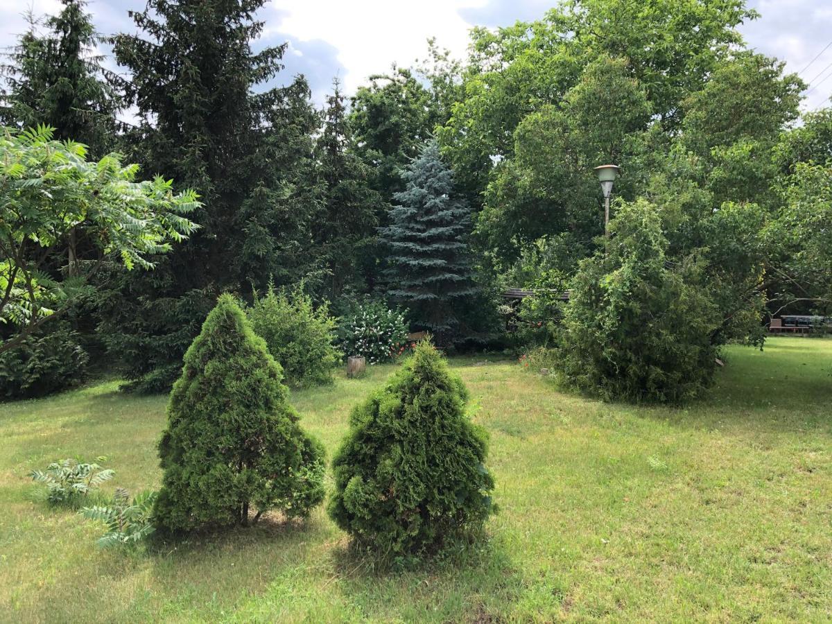 Caloroczny Blisko Lasu I Morza Na Urokliwej Dzialce 4300 M2 Holiday home *