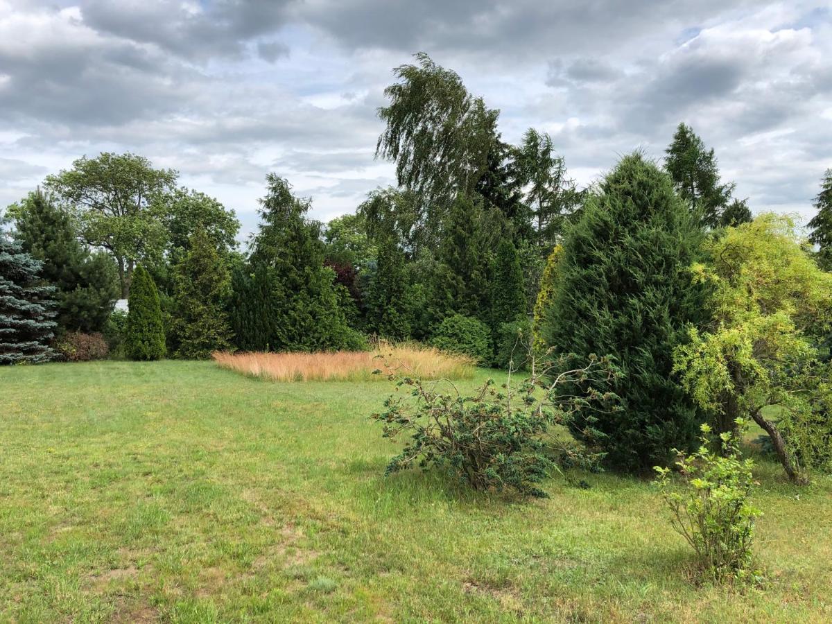 Holiday home Caloroczny Blisko Lasu I Morza Na Urokliwej Dzialce 4300 M2 Gdansk